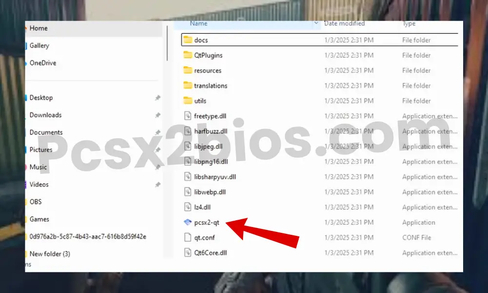 Install PCSX2 BIOS